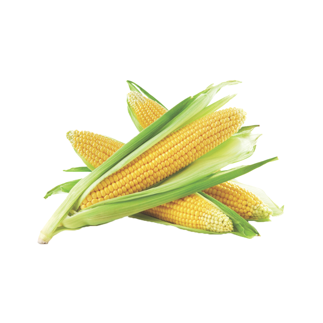 Elote 2 por 99¢