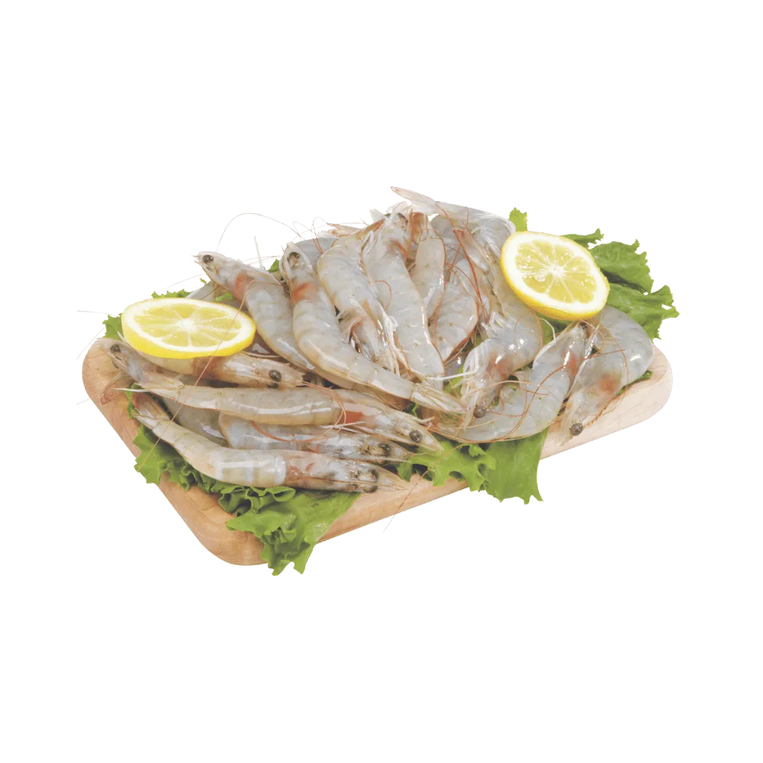Large Head-On White Shrimp $4.79 lb
