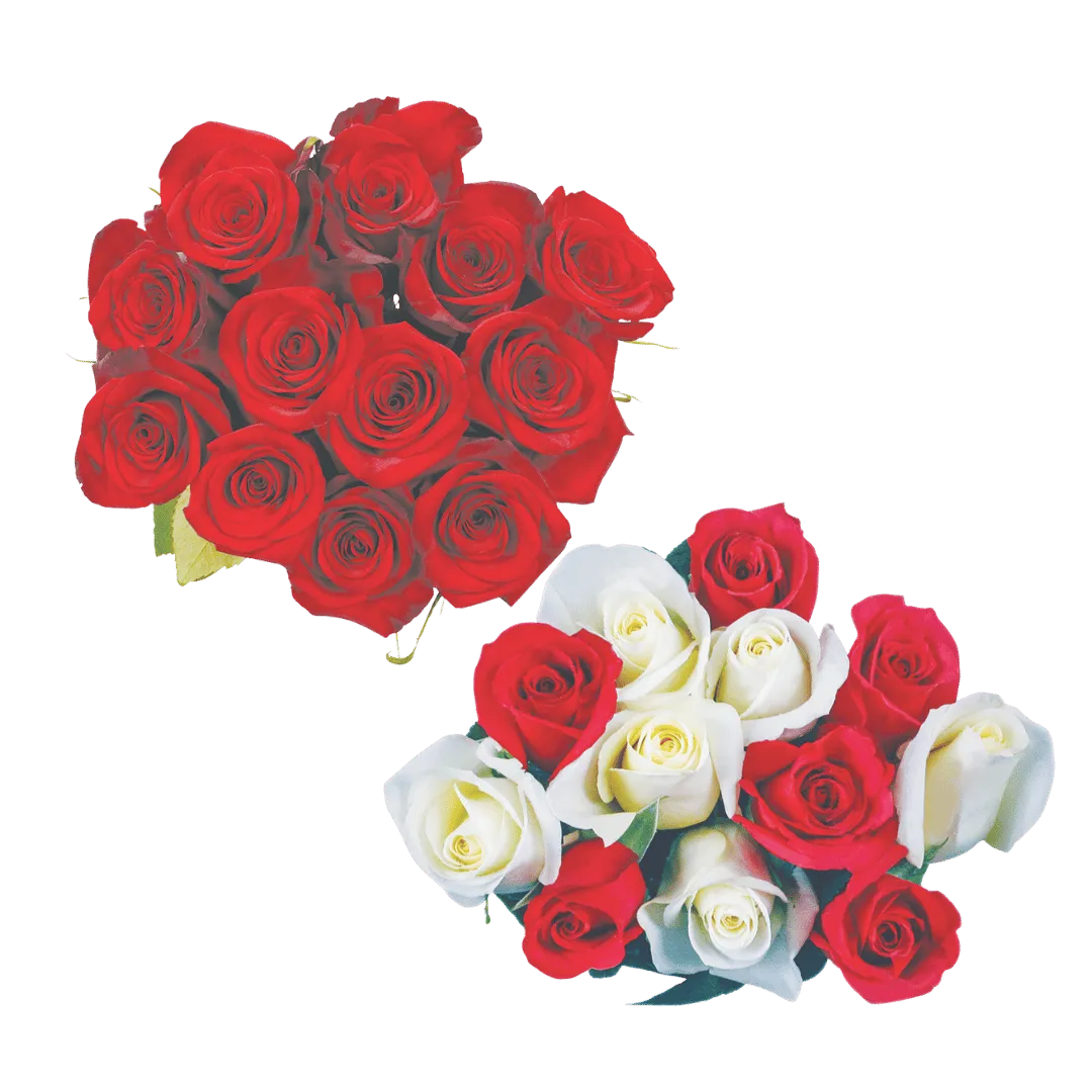 Docena de Rosas $10.99 c/u