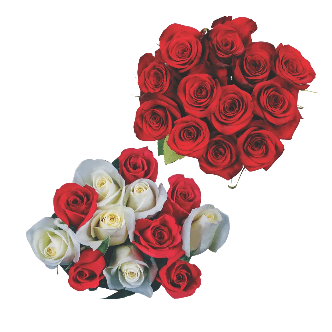 Docena de Rosas $10.99 c/u